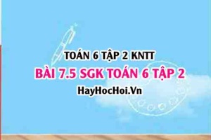Bài 7.5 SGK Toán 6 tập 2 Kết nối tri thức